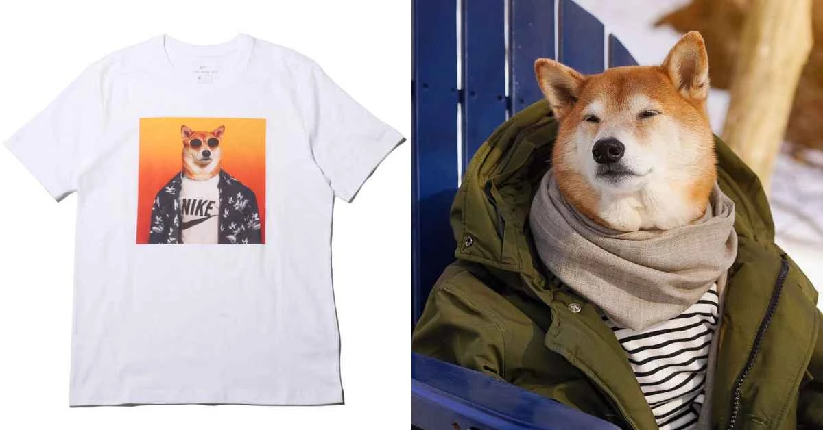 誰能比這隻「柴犬」更會穿?IG爆紅穿搭神犬與NIKE推超狂聯名