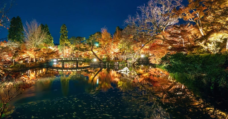 2017日本最強賞楓攻略!銀杏/賞楓/夜楓 三個願望一次滿足