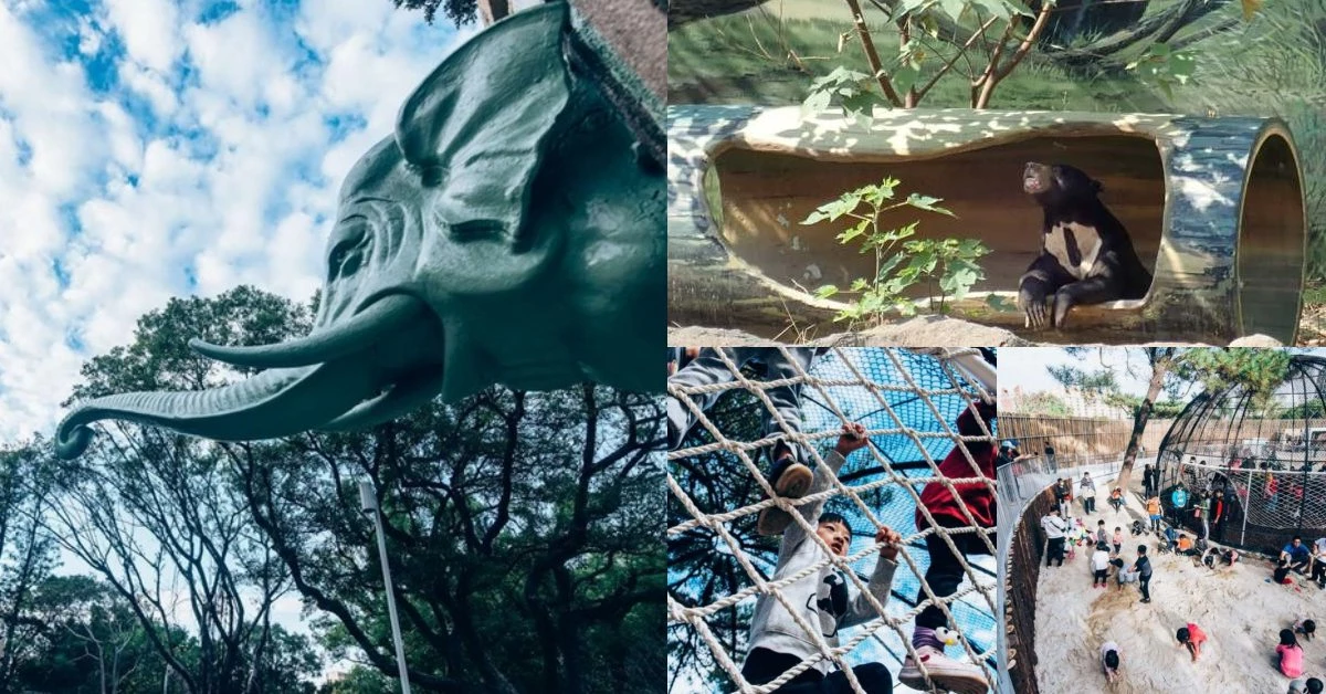 新竹新景點!《新竹動物園》打造沒有籠子的動物園,6大必逛亮點總整理