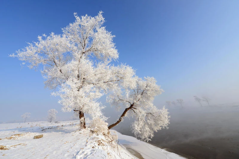 環遊世界五大夢幻雪景!冬季打卡最有FU