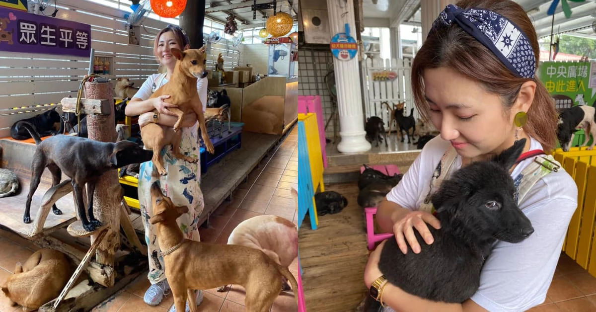 Selina燒燙傷滿10年！昔日愛犬Pinky陪伴走過低潮，送暖台南3000隻浪浪