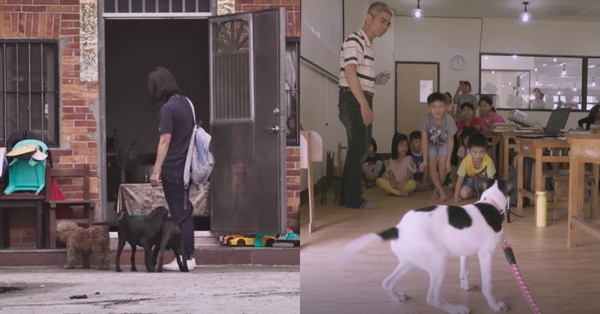 《十二夜》相隔7年再登大螢幕!保護動物第一步就是“探索浪浪的起源”,毛爸毛媽11/27戲院見