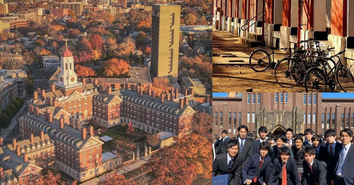 全球「最佳聲譽大學」台灣4間上榜!台大搶下第40名,亞洲第一獎落日本