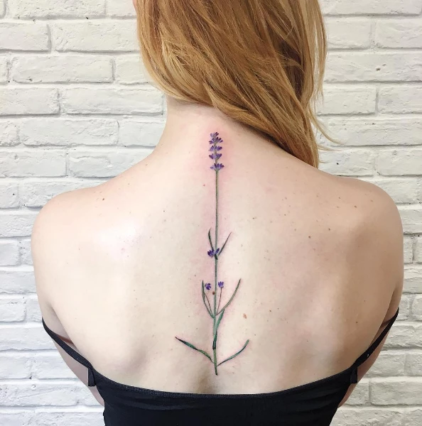 自然花卉