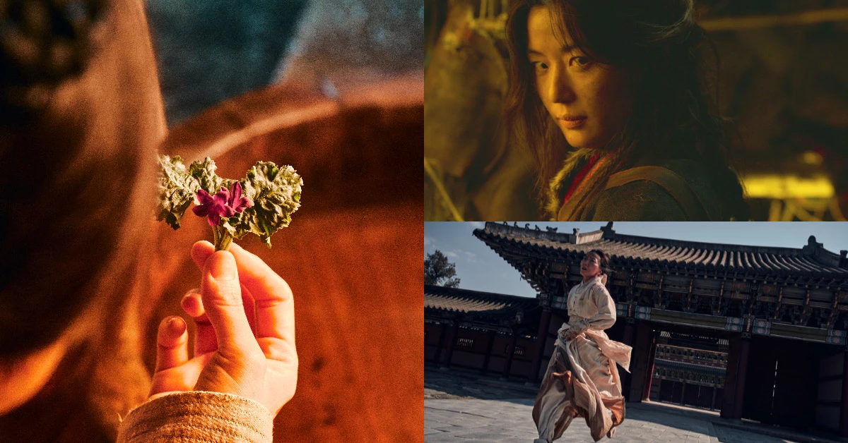全智賢的身分即將公開！第三季《屍戰朝鮮：雅信傳》Netflix強勢上線，生死草的秘密將揭曉！