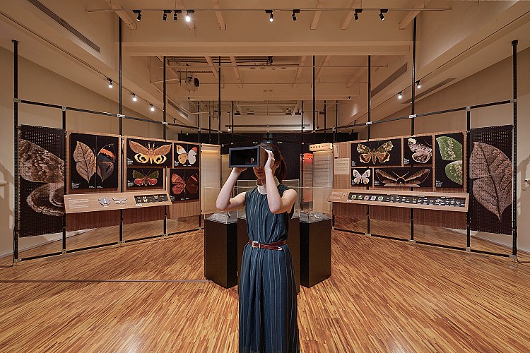 展場設有複眼裝置模擬蝶蛾視覺｜攝影/汪德範｜圖片提供/ 格式設計