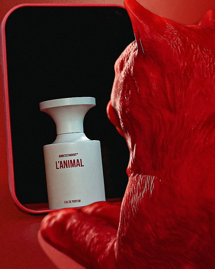 進軍台灣韓國香氛品牌1：Borntostandout