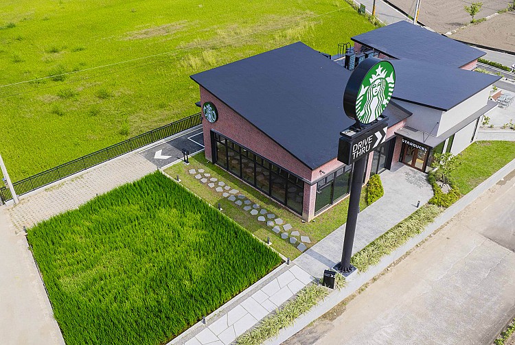 門市前方的農地保留了原有的稻作脈動,並與苑裡農會攜手合作,將星巴克Logo巧妙化為「稻田彩繪」,在金黃稻浪間展現咖啡與土地的對話。隨著稻浪搖曳,躍然田野間。