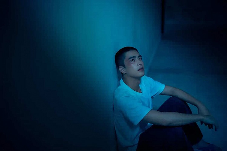 《如果我不曾見過太陽》講述在一場驚悚連環殺人案後，警方逮捕了年輕男子李壬曜，他在審訊中冷靜地自白，卻又語帶保留，讓人無法確定真相。與此同時，心理師周品瑜被指派負責對他進行心理評估，卻在與李壬曜的對話中，不斷夢見一名神祕少女江曉彤，一個可能只存在於記憶或幻覺中的人...隨著夢境與現實的界線逐漸模糊，所有人的秘密與罪惡開始浮現，一場關於光與黑暗、人性與救贖的真相追尋就此展開。