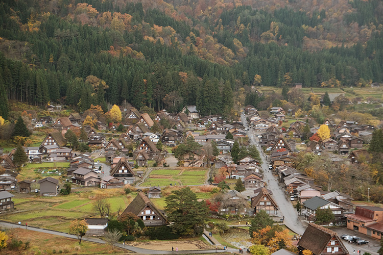 高山古城區在紅葉映照下更添懷舊氣息，沿著宮川晨市散步，木造町屋、古橋與河畔兩側的楓紅交織，讓人彷彿穿越時光。