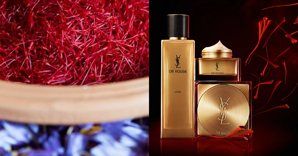 行家才知道!YSL「這款」奢華保養不打廣告就默默賣,居然有顧客一次買破17萬!