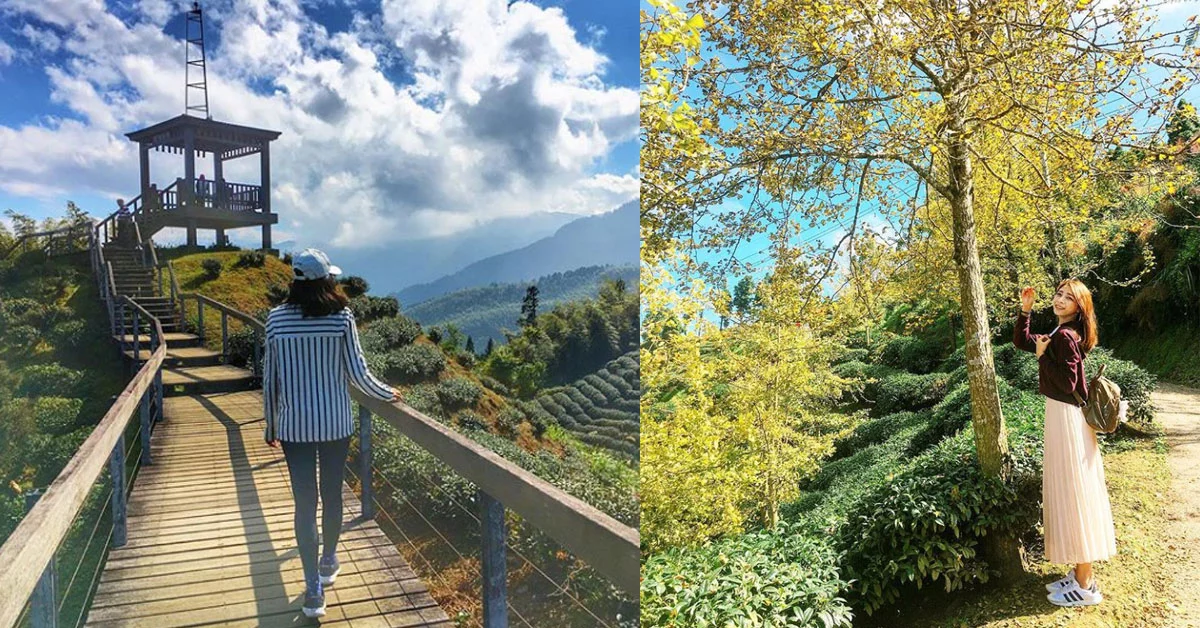 美到不用修片!台灣「5條秘境步道」不開濾鏡也能拍出超狂美照