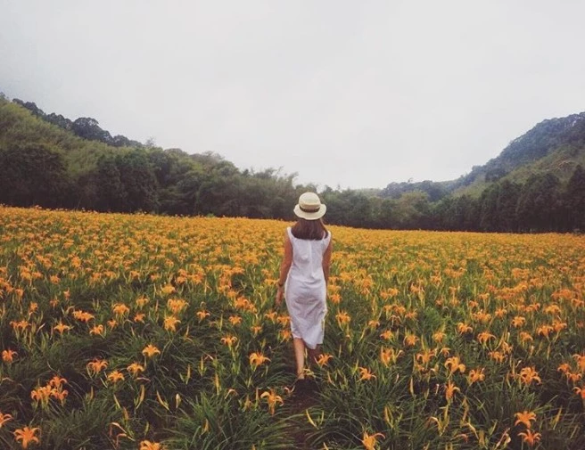 花開滿山頭！盤點2017花東「仲夏忘憂系IG最夯景點」：月光下的海洋音樂會徹底療愈身心靈！