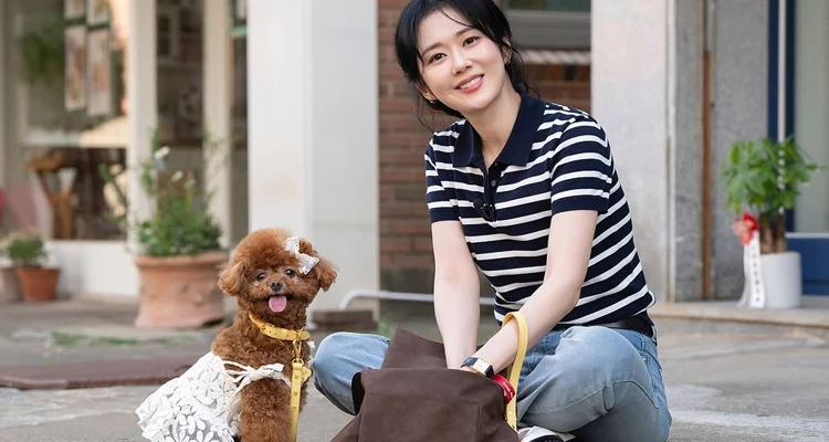 條紋衫,同樣是張娜拉減齡穿搭中經常出現的經典單品。她偏好線條簡單、配色清爽的細條紋設計,像是藍白、黑白或帶點米色調的條紋,不僅百搭,也自帶濃厚的校園休閒感。