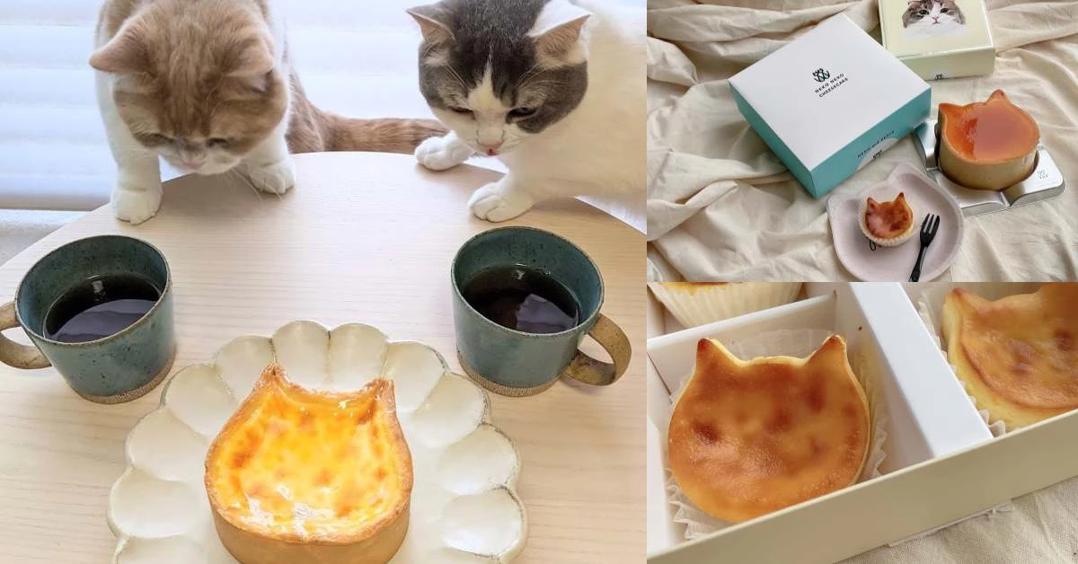 日本「Neko Neko 貓貓起司蛋糕」進軍台北信義，招牌「布里貓起司蛋糕」不用去東京就吃得到！