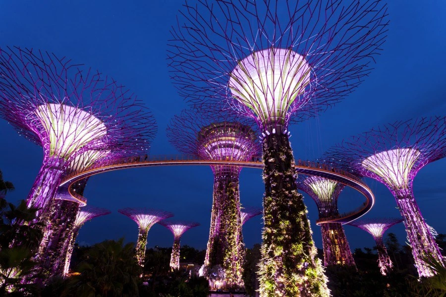 濱海灣花園 Gardens by the Bay