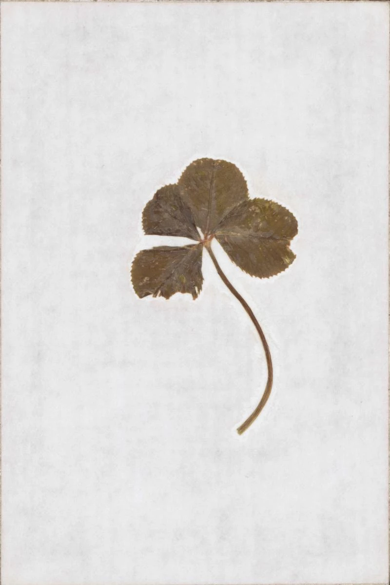 品牌創辦人之一 Estelle Arpels 的姪子 Jacques Arpels,過往會在巴黎東北部 Germigny-l’Évêque 宅邸花園內採摘四葉草,贈予共事員工,並附上英文詩篇《Don’t Quit》,藉此鼓勵他們常懷希望。