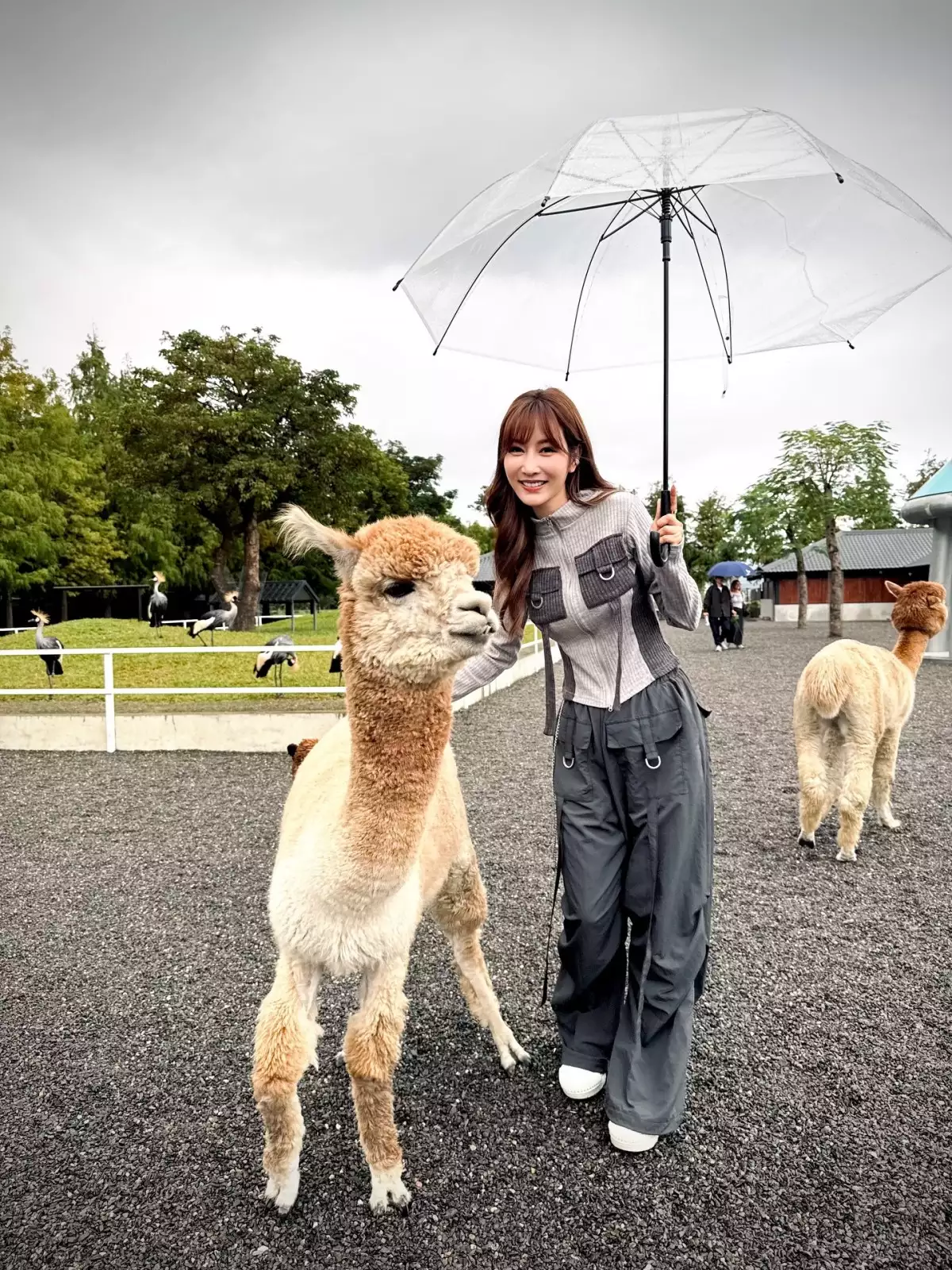 曾莞婷減齡穿搭4：短版針織衫＋工裝寬褲｜街頭活力氛圍