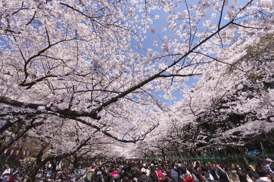 上野恩賜公園