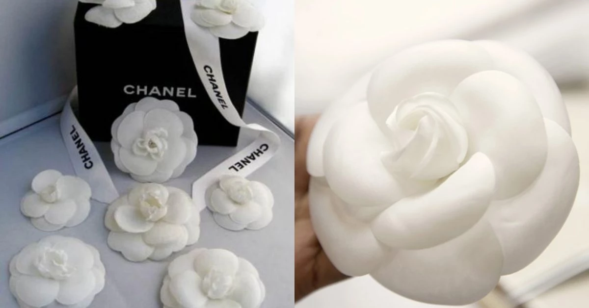 【10Why個為什麼】Chanel包包、美妝到粗毛呢外套都有它!撐起時尚王國的「山茶花」原來藏有這10個故事