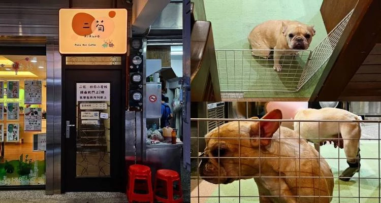 店名靈感來自闆娘們的兩隻愛犬,而這次全新落腳點,「二菊」離開了原先的彩色小屋那片觀光熱區,轉而搬進鄰近基隆塔的信四路二樓公寓,也就是昔日「冬煦餐桌」的所在處。