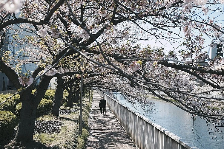 有人會問:日本為什麼要多此一舉?其實JESTA的核心在於「預防」。