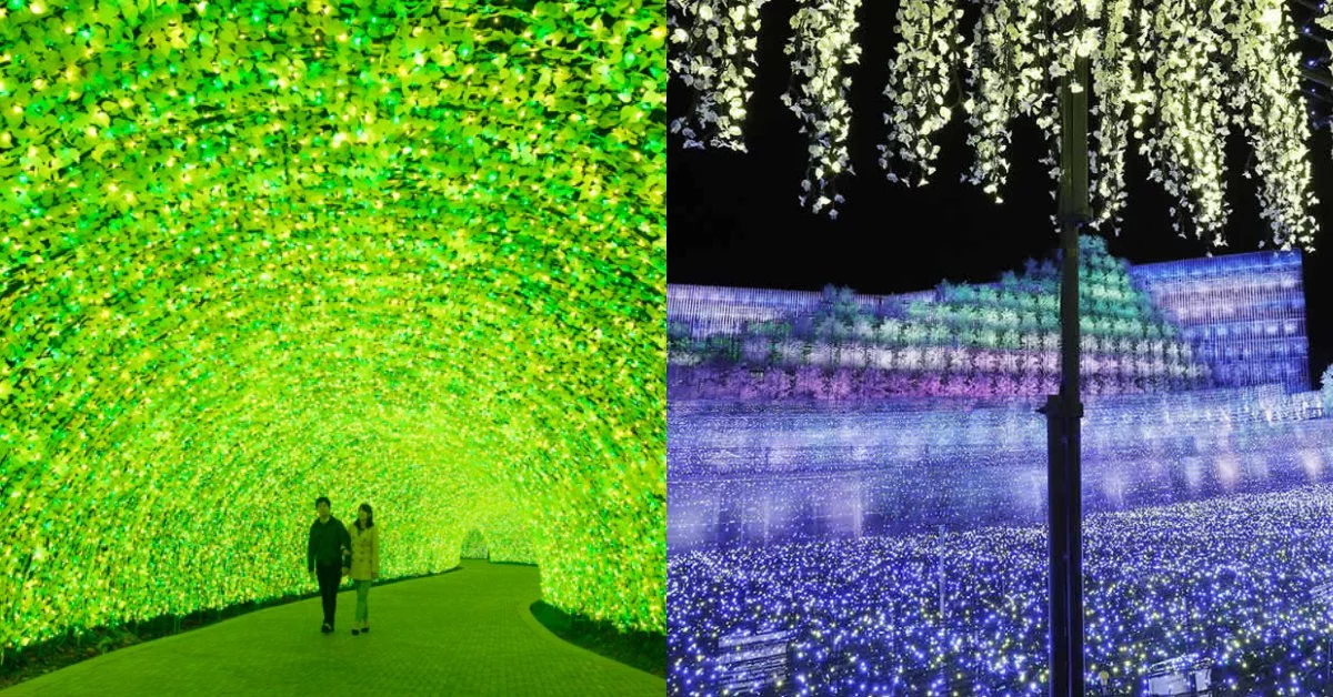 日本中部賞最炫爛奇蹟燈景！名花之里、木曾三川公園、拉格娜登堡3大主題光節
