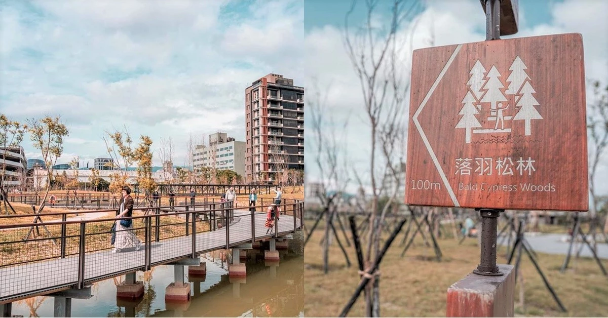 台北竟然也有落羽松！IG熱搜新景點「南港新新公園」，週末相約姐妹拍出逆天美照吧！