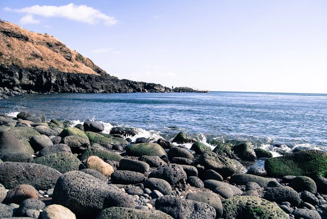 韓國牛島