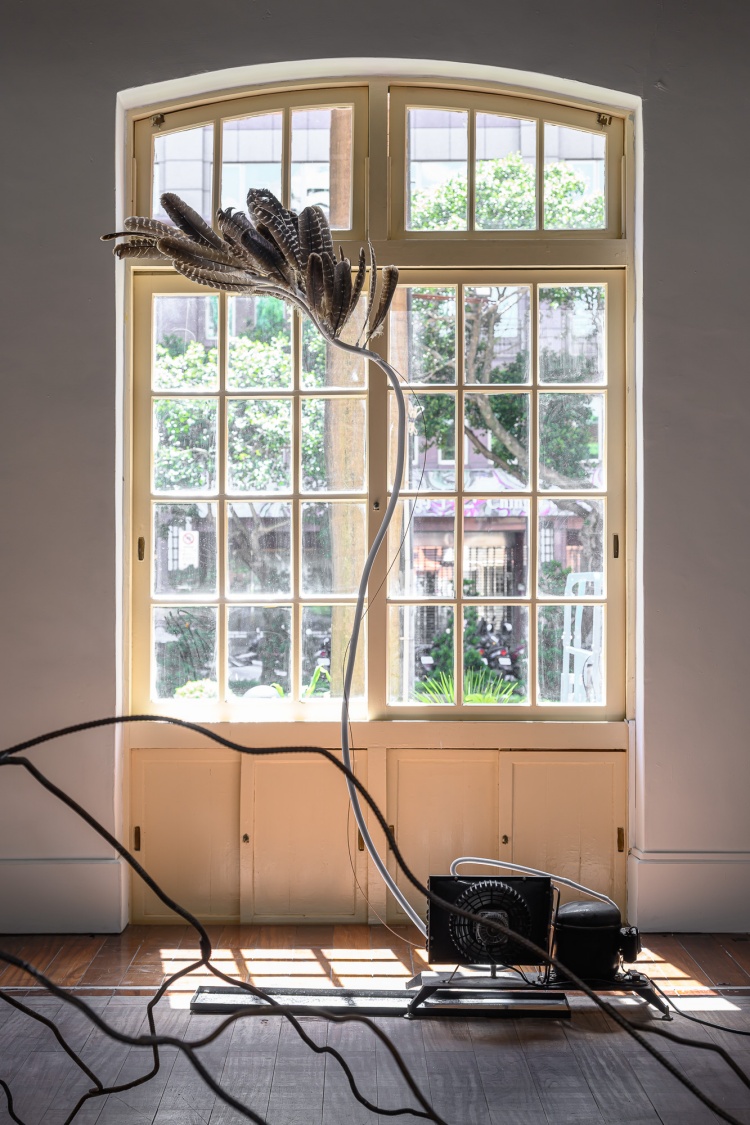 《冷凝》置放羽毛與銅管交錯，召喚冰與柔軟間的對話流動。Source：豪華朗機工