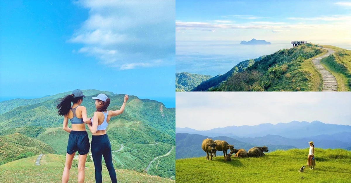 夏日避暑秘境!北台灣最美草原「桃源谷」,360度山景海景,美到讓你驚呼連連!