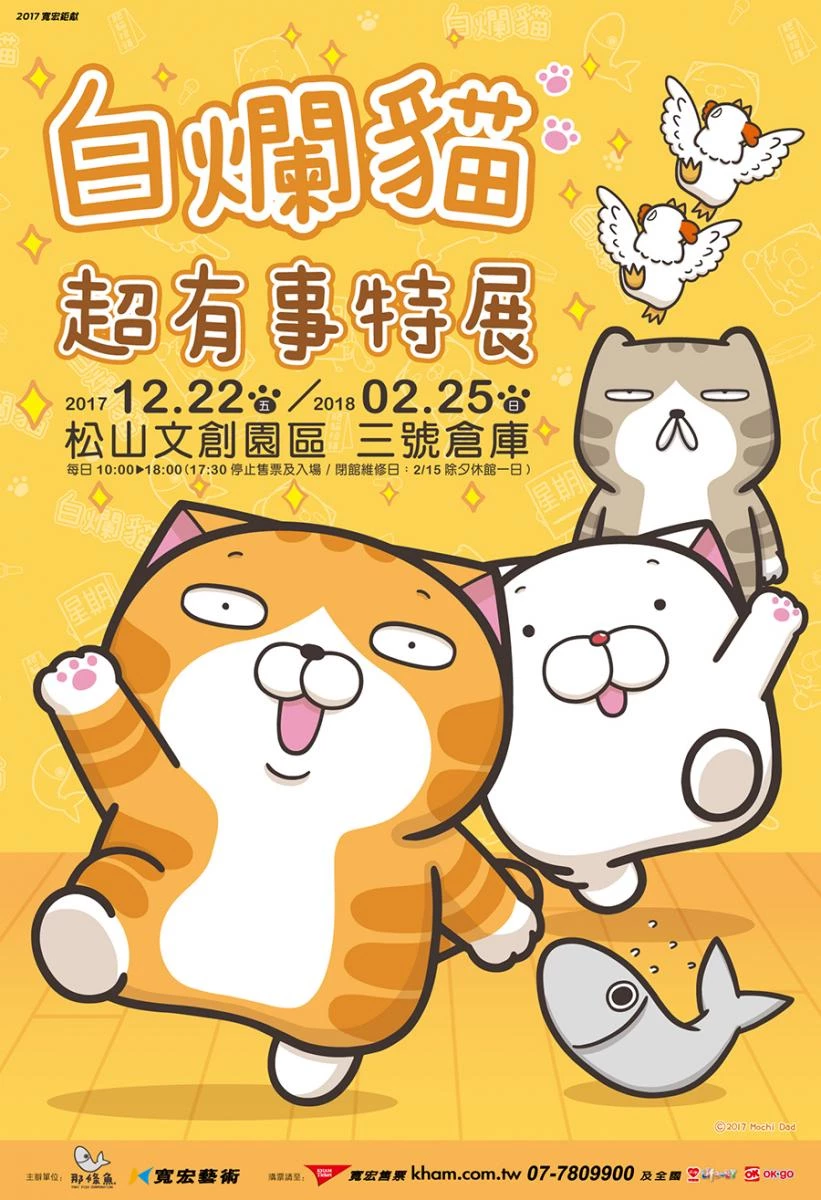 白爛貓