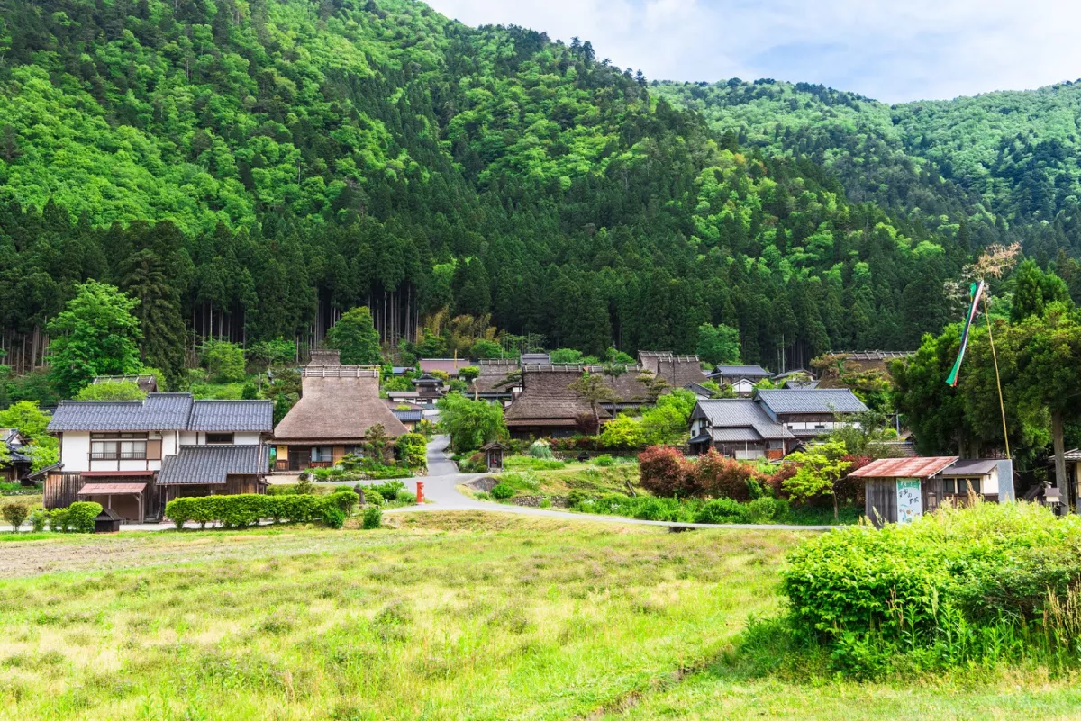 美山町