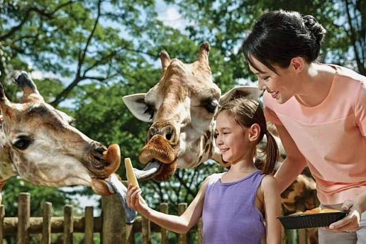 萬態野生動物園(Rainforest Wild Asia)因為大量保留自然景觀與原生動物,結合高科技體驗,已成為不少人造訪新加坡必去的景點。