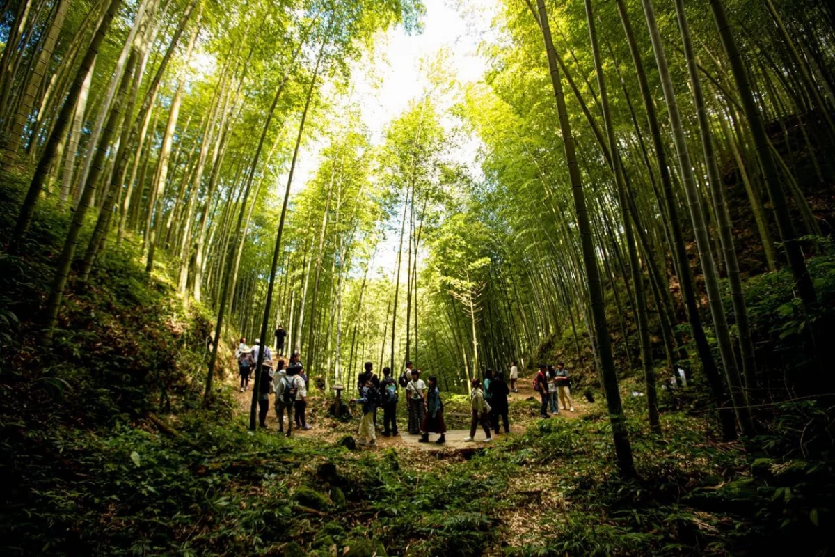 石壁休閒遊憩區坐落於海拔 1,600 至 1,630 公尺的中海拔森林之中,園區內包含穹頂竹棚、微風小築、寂靜區、低語軒等設施。杉木林步道坡度平緩,環境幽靜舒適,遊客可近距離欣賞高聳挺立的杉木林。此外,雲嶺之丘位於雲林、嘉義與南投三縣交會處,具備無遮蔽的環景視野,是觀賞日出、夕陽與群峰景色的絕佳地點。整體設計以「順應自然、減少開發」為核心理念,傳達對自然環境的尊重。