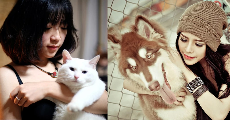 測過的都說準到爆炸!憑直覺選出動物排名,馬上看出你的「潛在性格與真面目」!