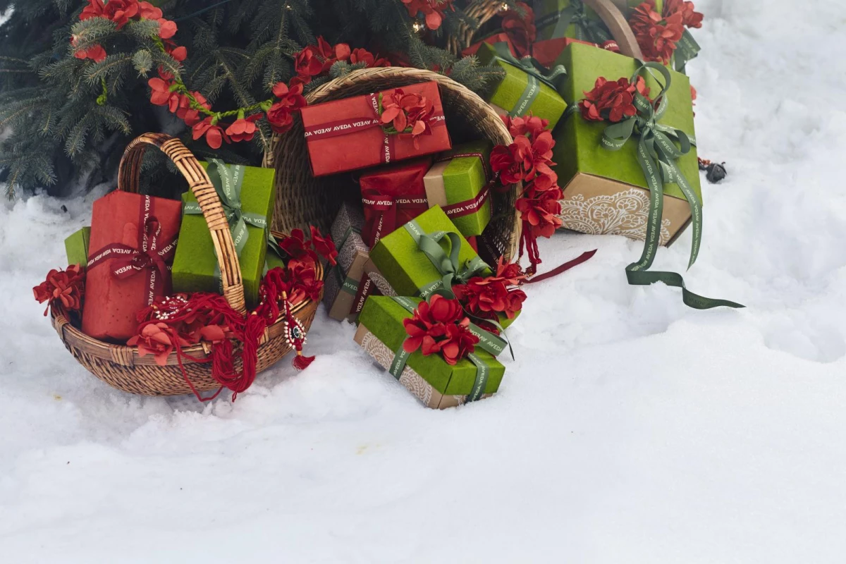 AVEDA holiday