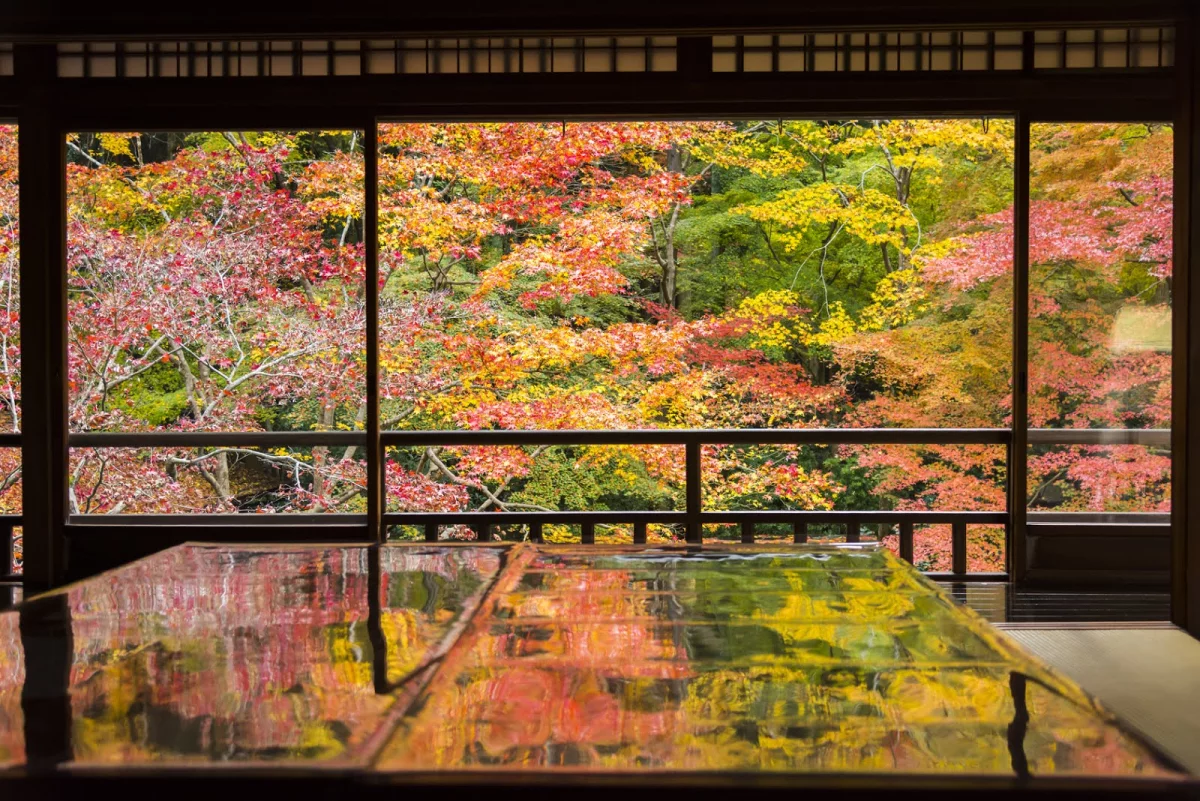 琉璃光院