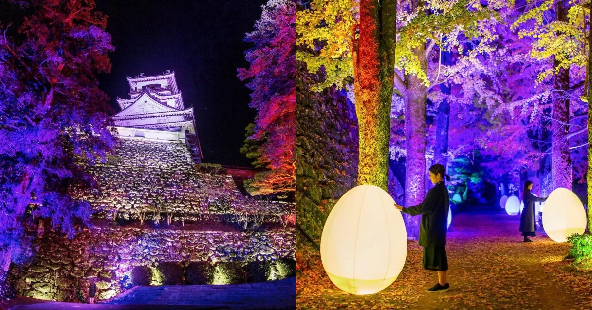 teamLab又來了！「高知城光之祭」400年古蹟變不夜城，老牆、古徑一秒成魔幻畫布