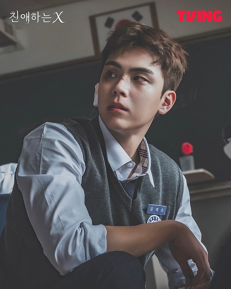 除了兩位主演外，《親愛的 X》還集結了曾出演《Moving 異能》的金度勳將撐起男二角色，一位同樣從小陪伴在白雅珍身邊的金在吾。