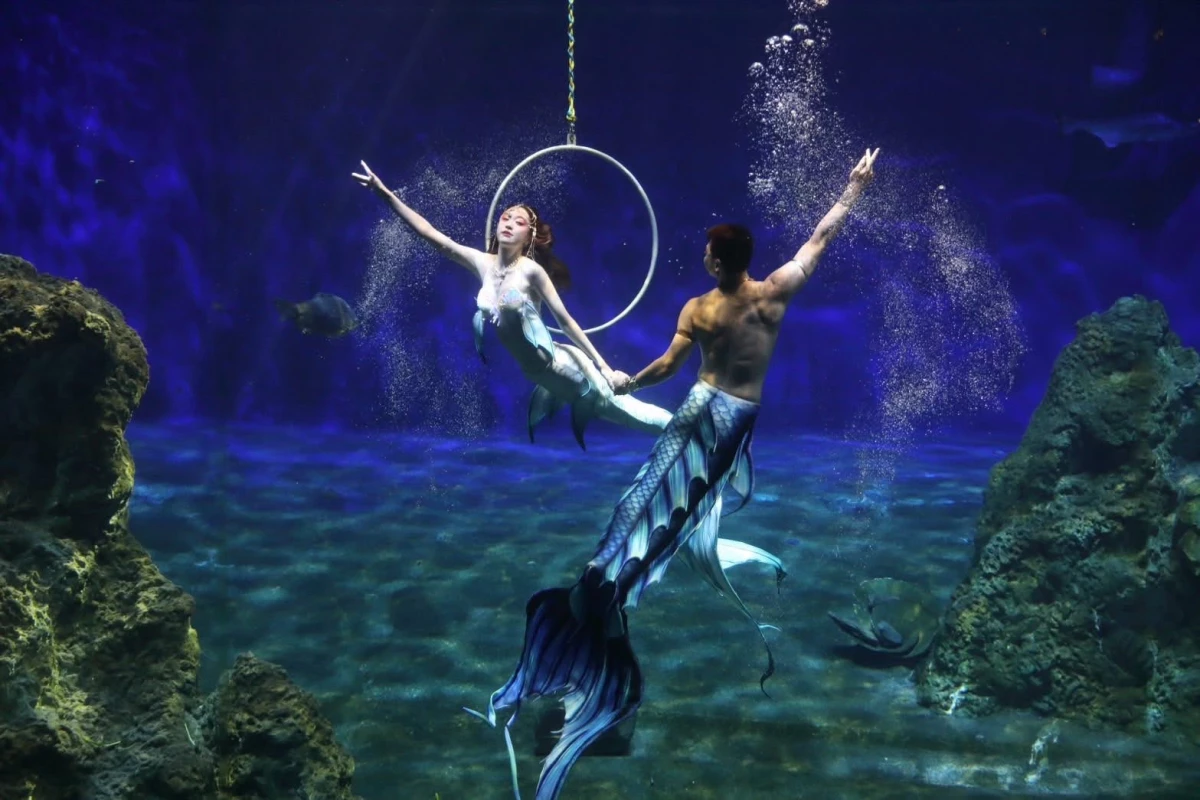 「遠雄海洋公園」還有這裡才看得到的海豚、海獅、美人魚表演、百老匯式歌舞高空特技秀以及吉祥物花車遊街...等表演。