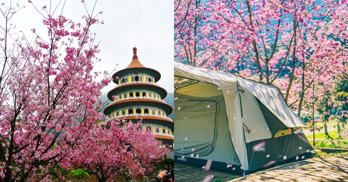 賞櫻的季節又到了!2019全台櫻花綻放5大景點不藏私公開