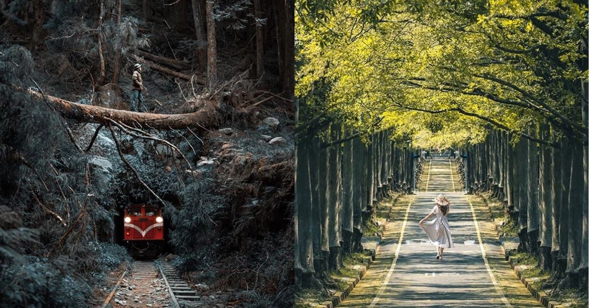 阿里山鐵路「驚悚仙境」再現!2020盤點嘉義10大「自然系美景」IG打卡景點,隱藏版鐵路決不虛此行!