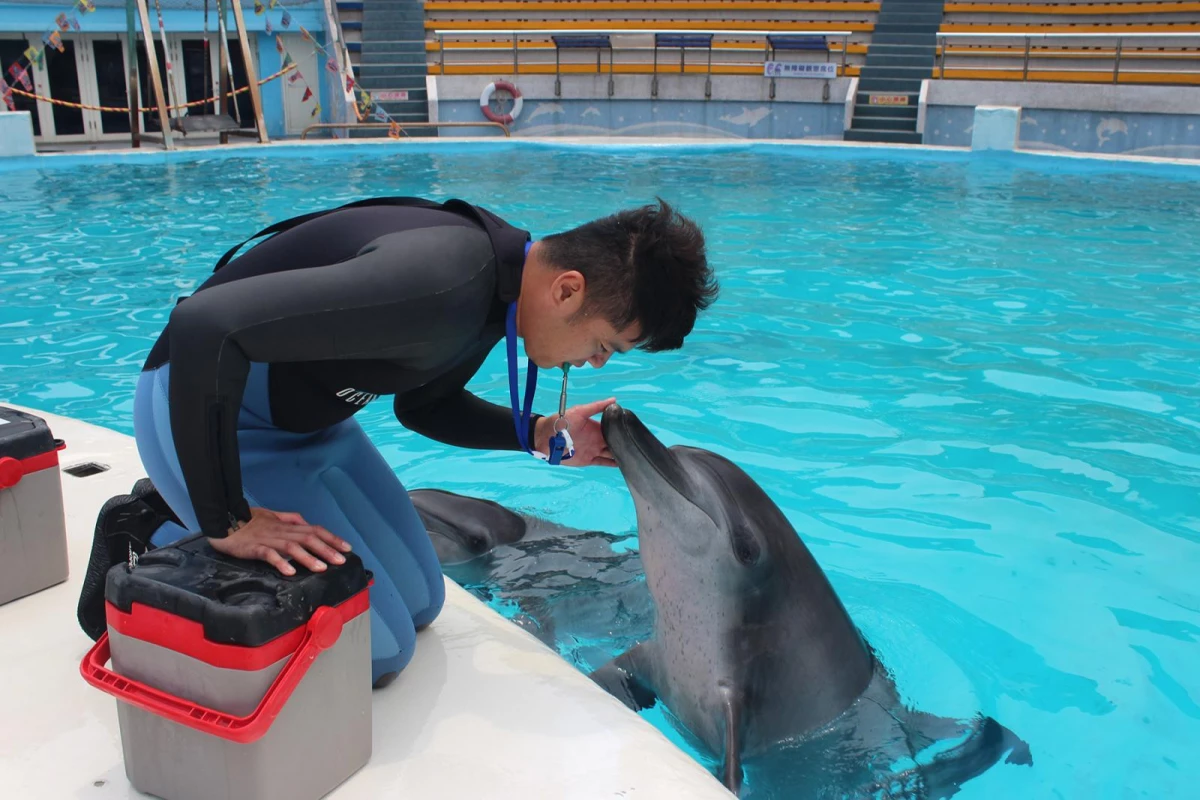 位在新北萬里的「野柳海洋世界」,是國內第一座海洋動物表演館,至今已有超過 30 年歷史。
