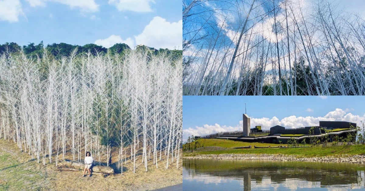 2020壯圍沙丘藝術節開跑，《迷霧森林》最吸睛！冰天雪地太好拍，彷彿走入《納尼亞傳奇》