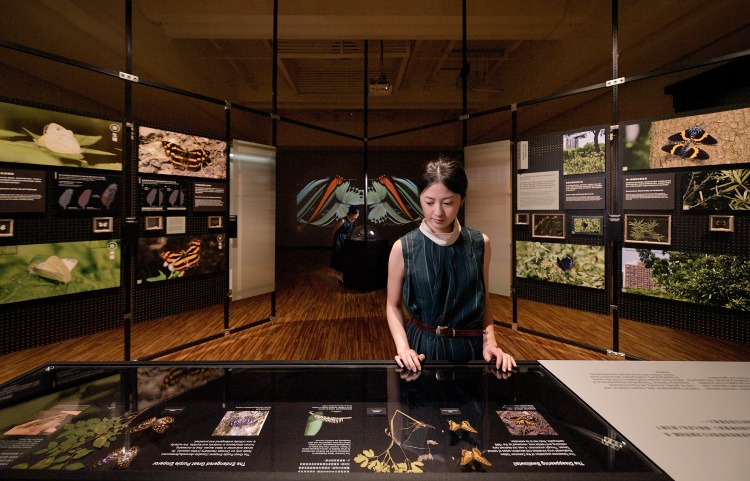 立地展桌展示精選館藏標本｜攝影/汪德範｜圖片提供/ 格式設計