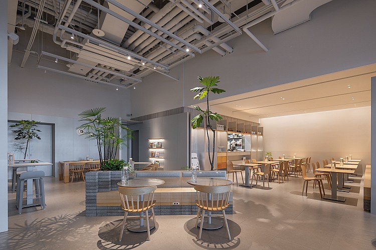 落地窗灑進大把陽光，綠植延伸到每個角落，讓人一進門便卸下繁忙感，像是誤入了一處隱藏於城市中的舒心花園。