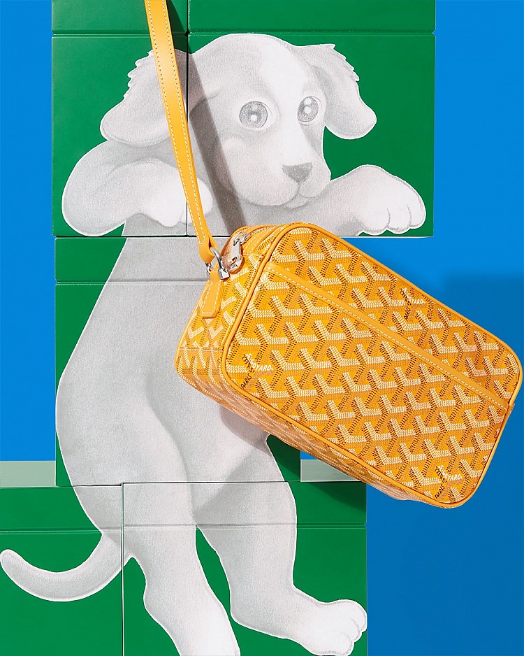 這款小巧的Cap Vert相機包以俐落線條與實用尺寸著稱，黑色款最受市場青睞，由於數量稀少、上架即售罄，其二手價格逐年上漲，年增幅接近5%，也讓它的平均保值率高達97%。