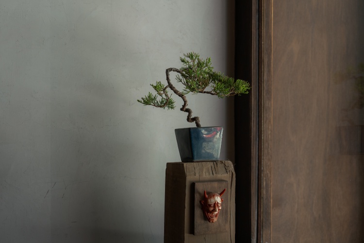 嘉義美白圖鑑串聯店家04京製茶 Kyo Cha