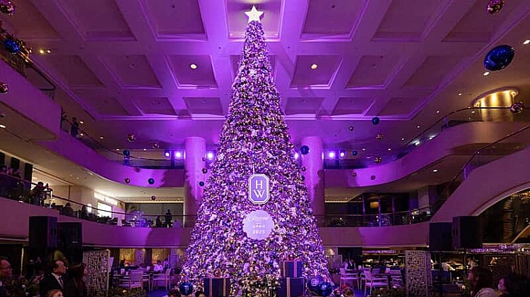 全台北飯店最大聖誕樹就在晶華酒店!大廳內的主樹攜手「鑽石之王」Harry Winston,以典雅紅金與松木綠為視覺主軸,打造低調奢華的聖誕氛圍。